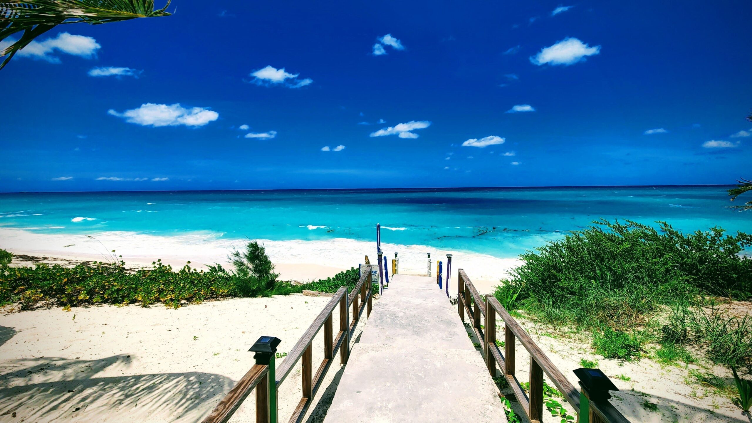 ,,-,Jun,22,,2022:,A,Beautiful,Shot,Of,A