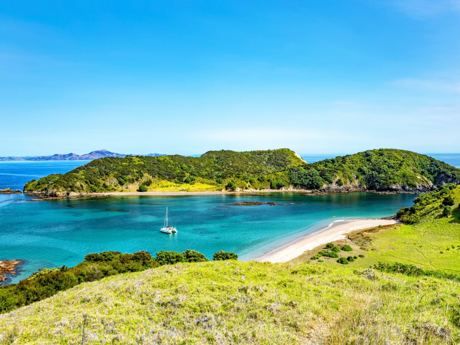 Waewaetorea,Island,,Bay,Of,Islands,,North,Island,,New,Zealand,,Oceania.