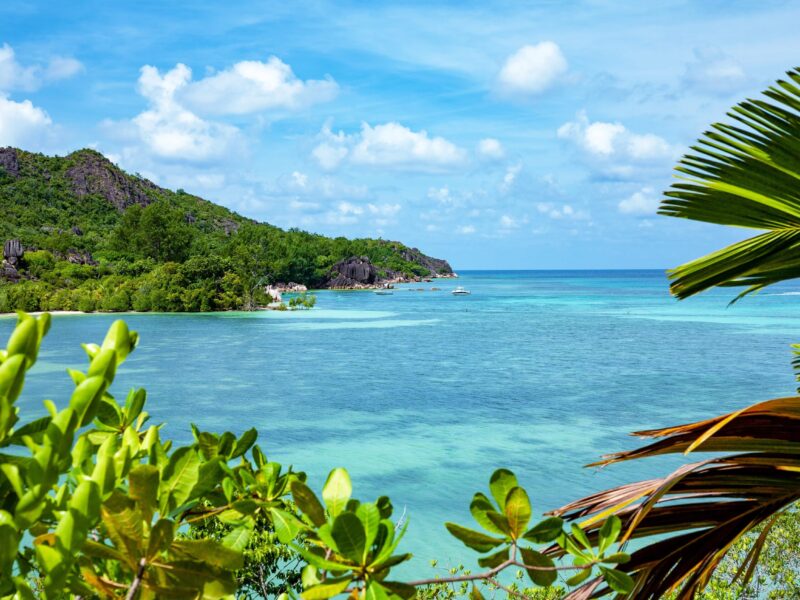 Island,Curieuse,,Indian,Ocean,,Republic,Of,Seychelles,,Africa.,Island,Curieuse