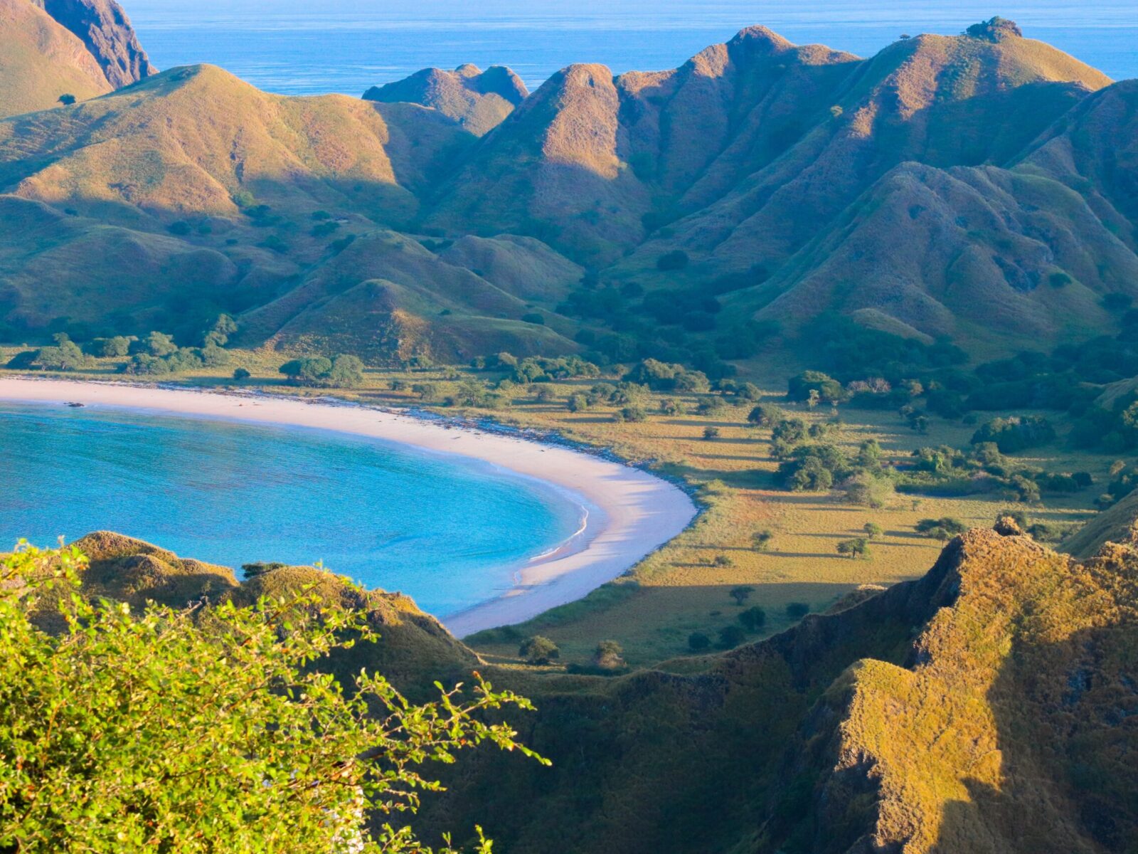 Beautiful,Of,Padar,Island,In,Komodo,National,Park,,Labuan,Bajo,
