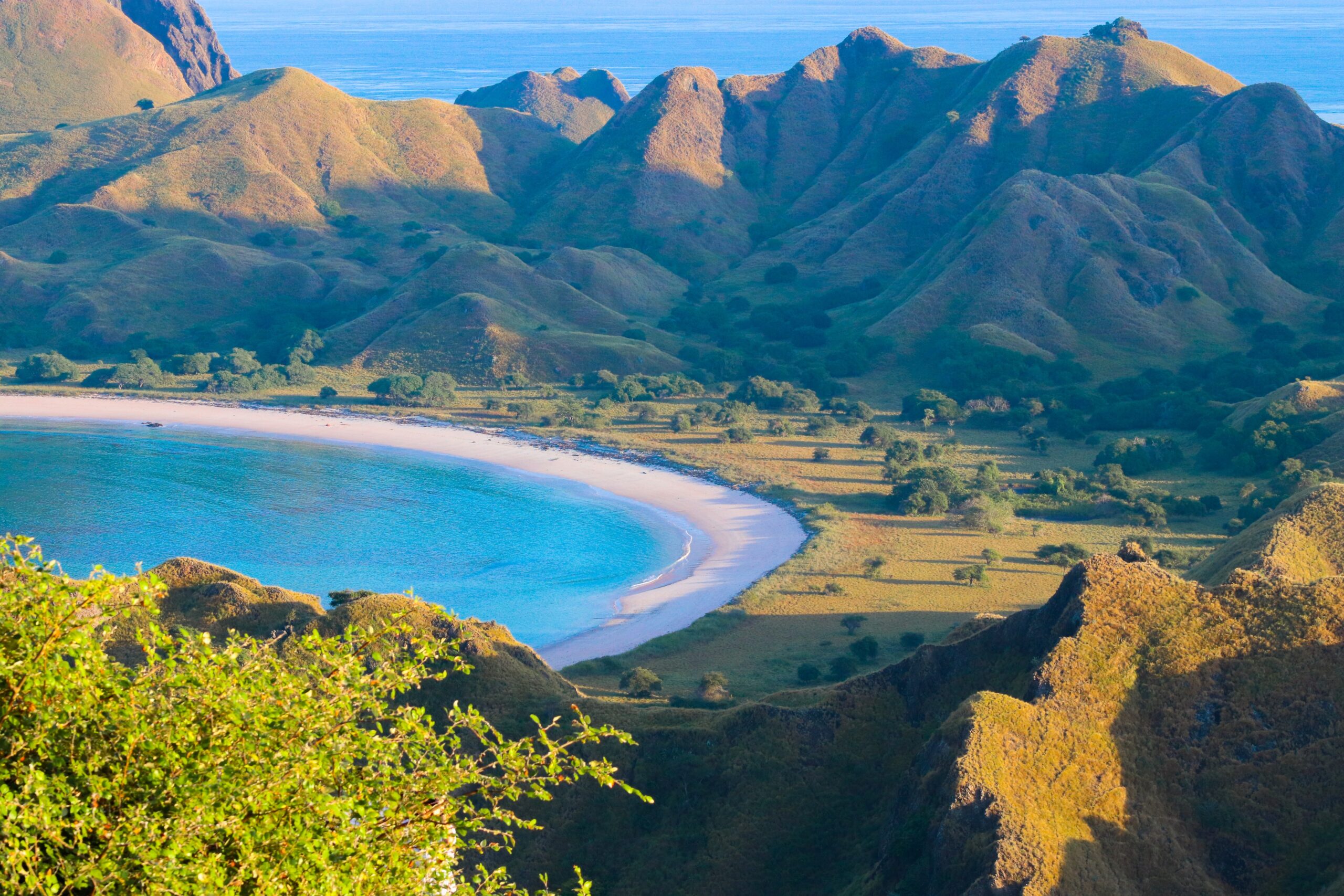 Beautiful,Of,Padar,Island,In,Komodo,National,Park,,Labuan,Bajo,