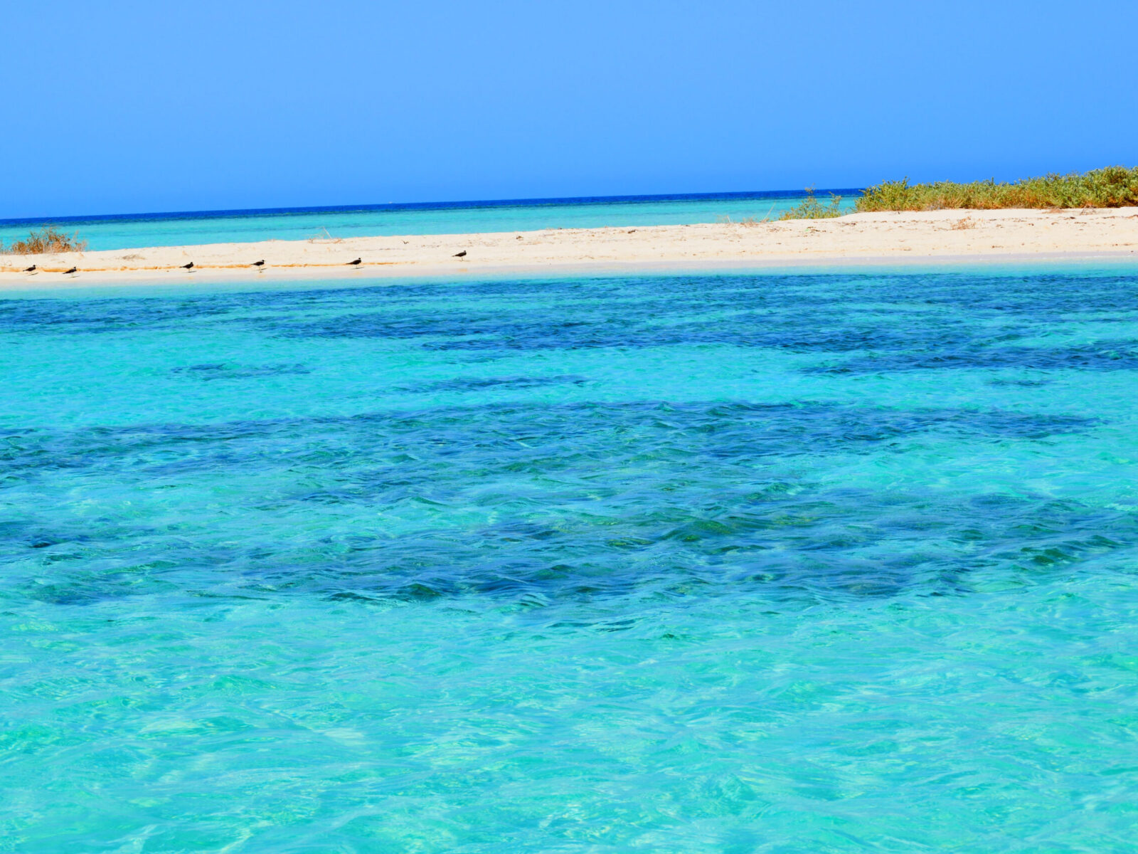 Umlujj,Beach,Sea,Shore,-,Islands,Spotted,In,Saudi,Arabia