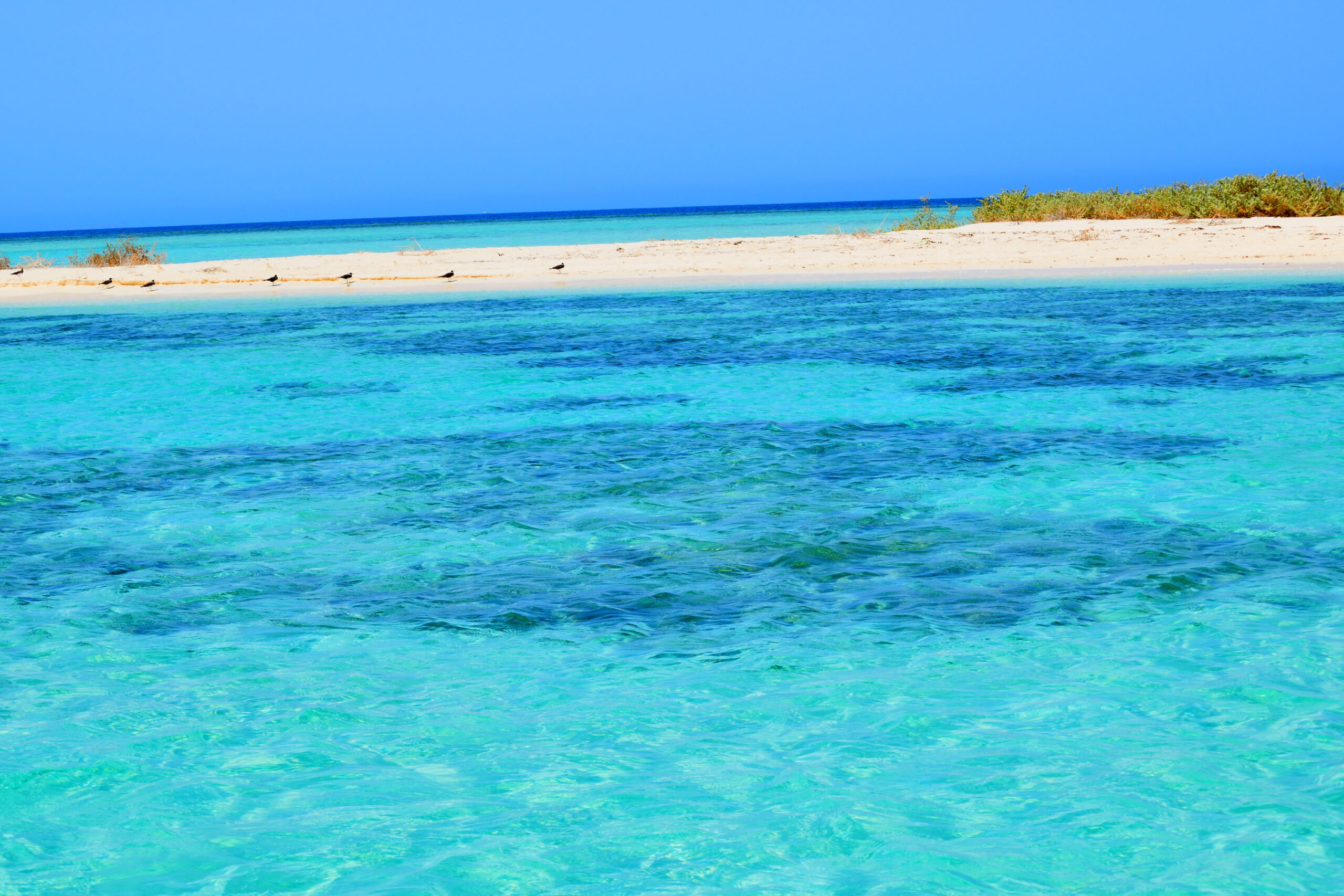 Umlujj,Beach,Sea,Shore,-,Islands,Spotted,In,Saudi,Arabia