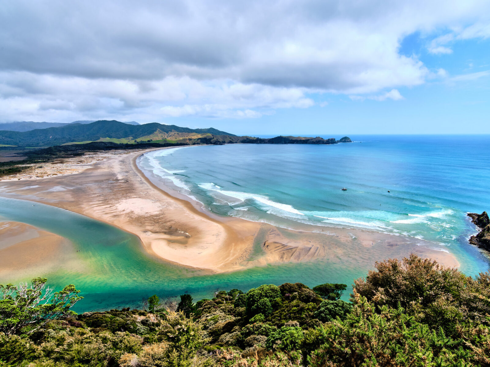 Great,Barrier,Island,,New,Zealand,-,December,24,2019:,Whangapoua