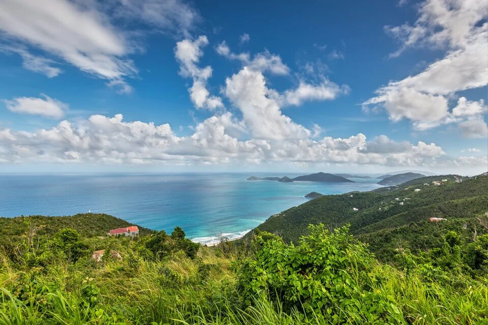 Guana Island