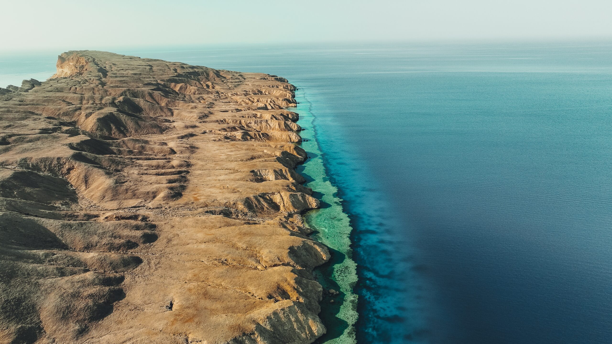 The,Vibrant,Waters,Of,Neom,Are,Home,To,Some,Of