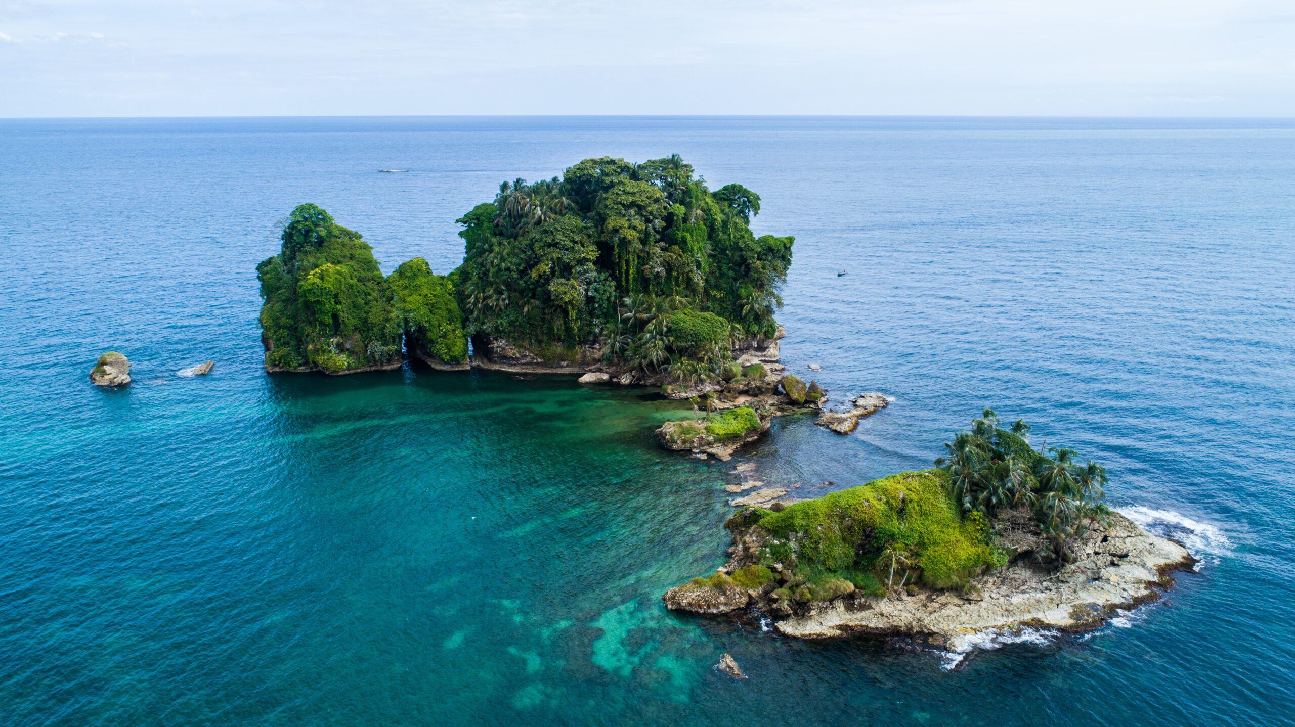 Bird,Island,,Bocas,Del,Toro,,Panamá