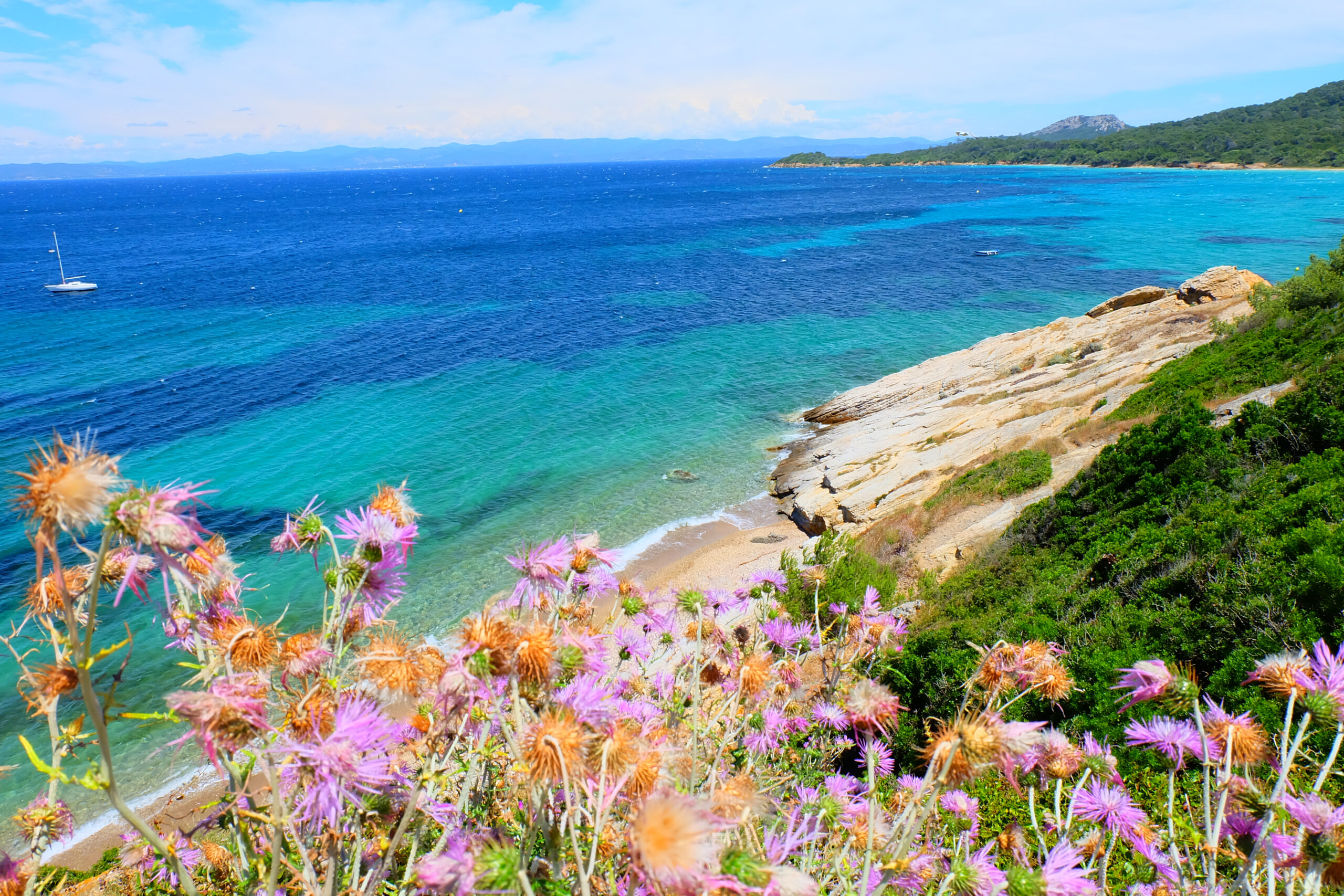 Nature,Of,Porquerolles,Island,,France