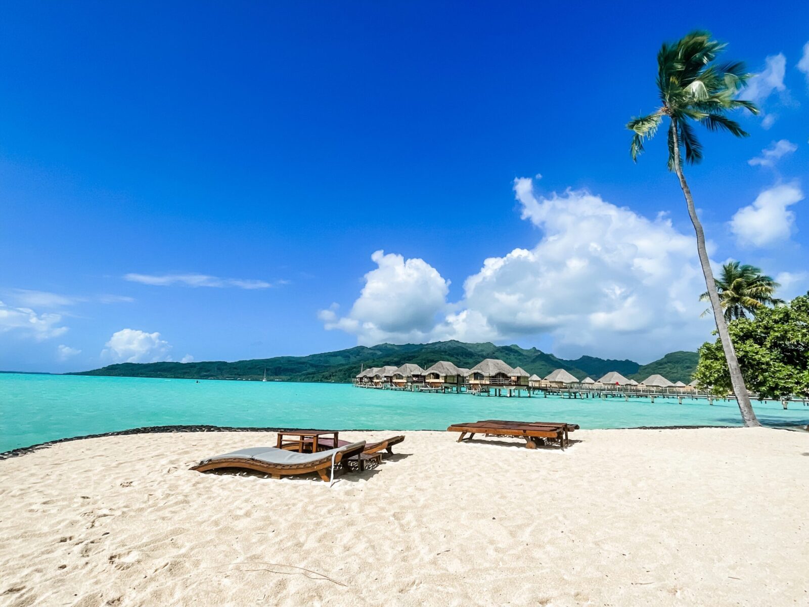 White,Sand,Chairs,Beach,Turquoise,Water,Palm,Trees,Overwater,Bungalows