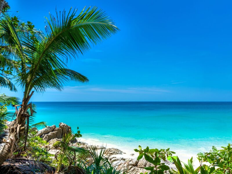 Beautiful,Freedom,Beach,On,Phuket,Island,Near,Patong.