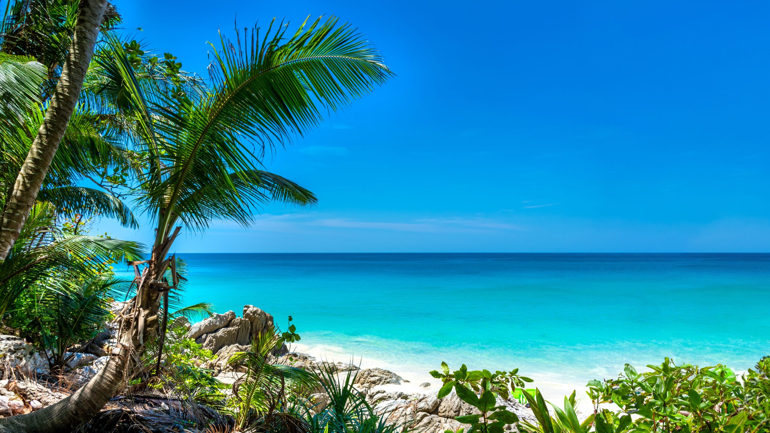 Beautiful,Freedom,Beach,On,Phuket,Island,Near,Patong.