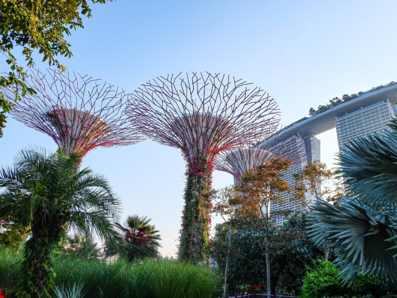 Gardens,By,The,Bay,,Maria,Bay,Sands,,Singapore