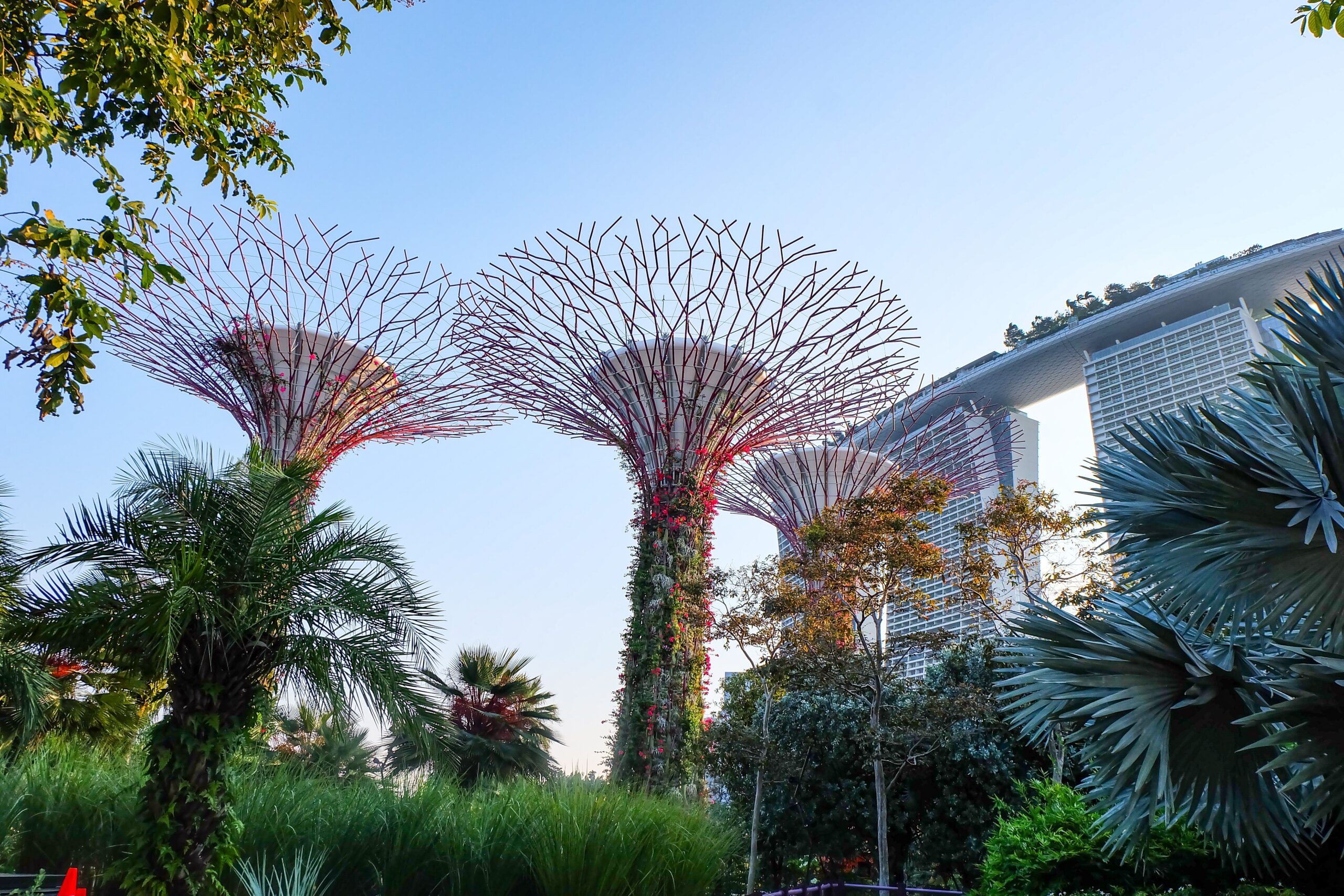 Gardens,By,The,Bay,,Maria,Bay,Sands,,Singapore