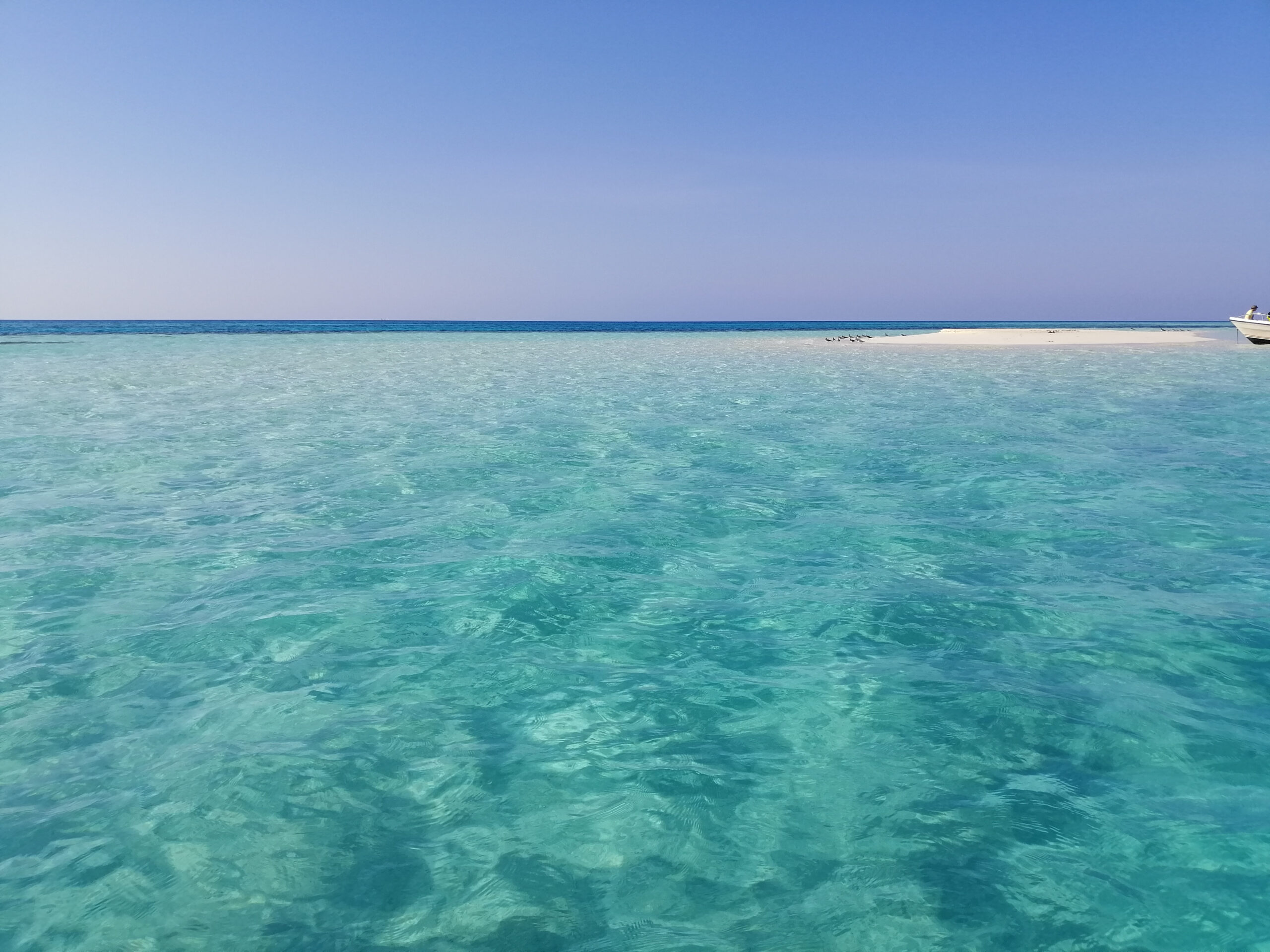 Beautiful,Island,In,The,Red,Sea,Off,Of,The,Coast