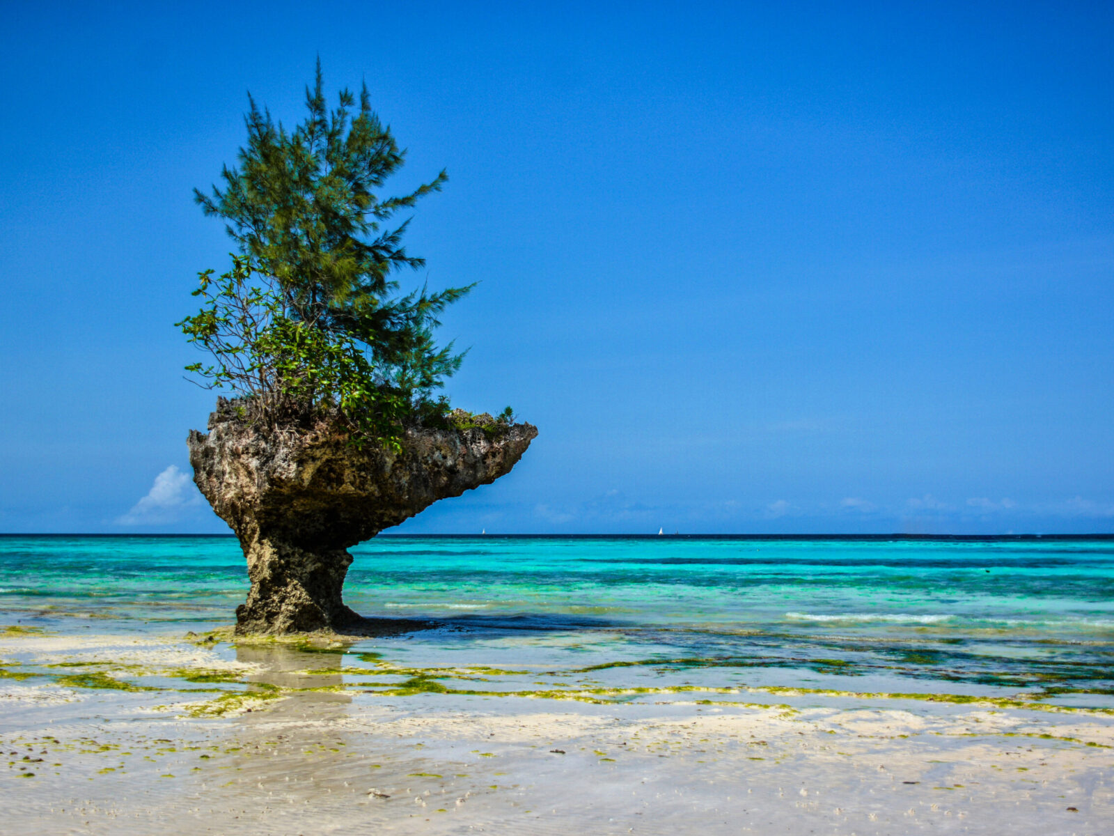 Tropical,Beach,On,Pemba,Island,,Tanzania